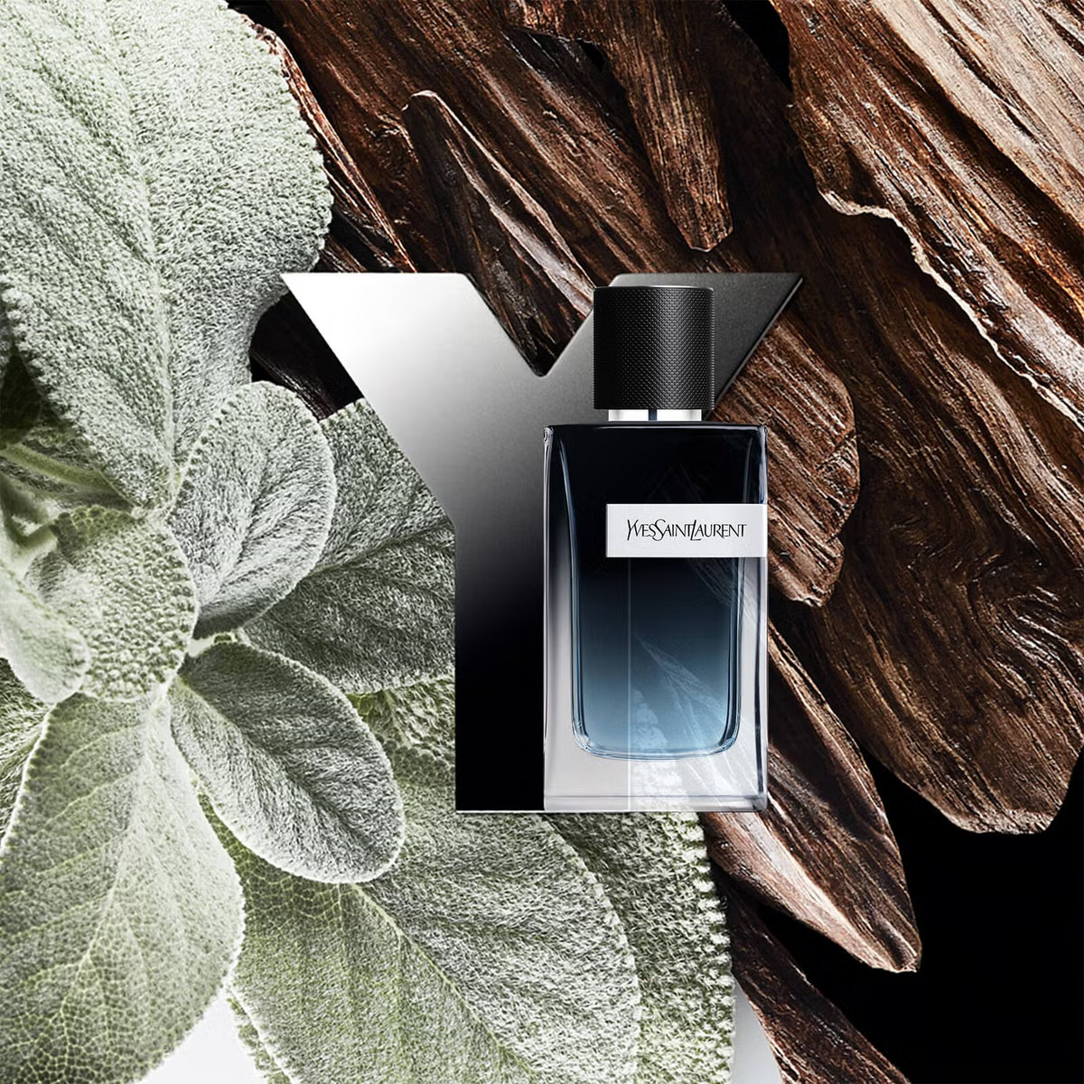 عطر سن لورن وای ادو پرفیوم عطر سن لورن وای ادو پرفیوم