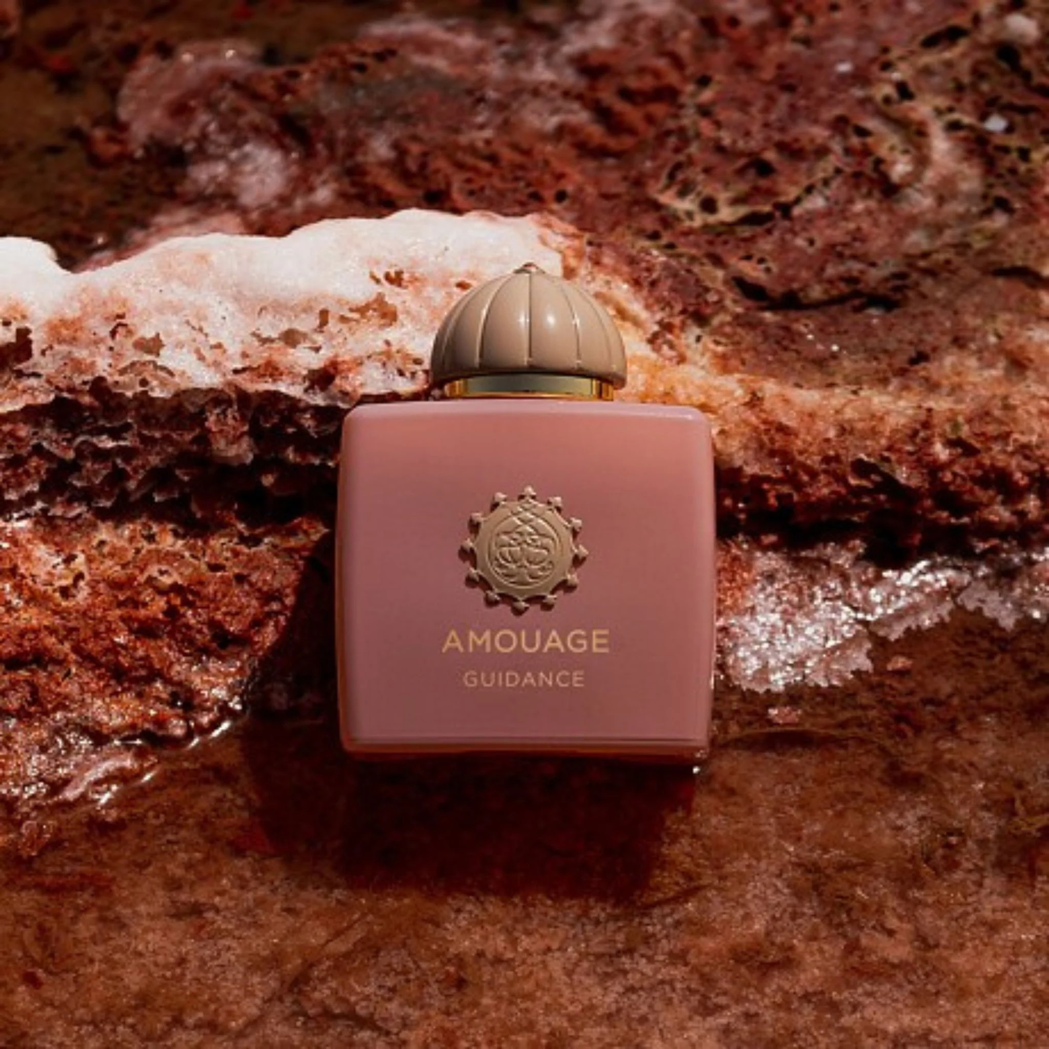 عطر آمواج گایدنس حجم و طراحی عطر آمواج گایدنس