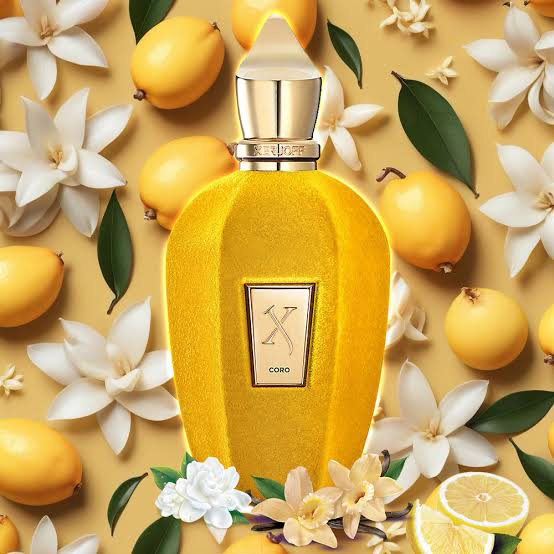 حجم و طراحی عطر زرجوف کورو